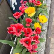 ヒメ日記 2026/04/19 14:01 投稿 うらら 小岩人妻花壇