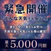 ヒメ日記 2026/06/03 17:42 投稿 うらら 小岩人妻花壇