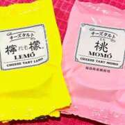 ヒメ日記 2025/07/15 17:10 投稿 ミウ ドMなバニーちゃん水戸店