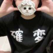 ヒメ日記 2025/06/10 18:19 投稿 ひまわり ピンクコレクション大阪キタ店