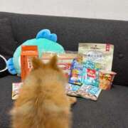 ヒメ日記 2025/12/08 10:19 投稿 ひまわり ピンクコレクション大阪キタ店