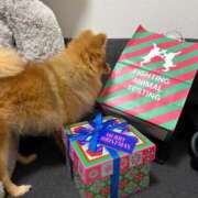 ヒメ日記 2025/12/22 19:29 投稿 ひまわり ピンクコレクション大阪キタ店