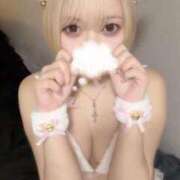 ひまわり 2/22（にゃんにゃんにゃんの日）わず ピンクコレクション大阪キタ店