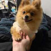 ヒメ日記 2026/03/20 12:10 投稿 ひまわり ピンクコレクション大阪キタ店