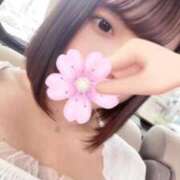 ヒメ日記 2025/09/10 13:42 投稿 ひまわり ピンクコレクション尼崎店