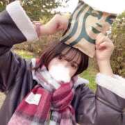 ヒメ日記 2025/11/13 15:02 投稿 ひまわり ピンクコレクション尼崎店