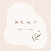 ヒメ日記 2025/11/14 02:00 投稿 ひまわり ピンクコレクション尼崎店