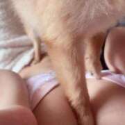 ヒメ日記 2025/11/21 13:02 投稿 ひまわり ピンクコレクション尼崎店