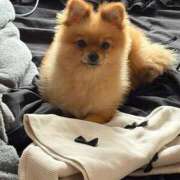 ヒメ日記 2025/11/27 13:12 投稿 ひまわり ピンクコレクション尼崎店