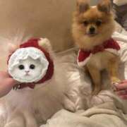 ヒメ日記 2025/12/28 18:06 投稿 ひまわり ピンクコレクション尼崎店