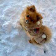 ヒメ日記 2026/01/06 20:02 投稿 ひまわり ピンクコレクション尼崎店