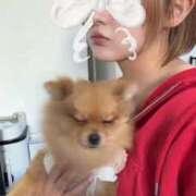 ヒメ日記 2026/01/25 12:22 投稿 ひまわり ピンクコレクション尼崎店