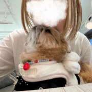 ヒメ日記 2026/01/28 18:19 投稿 ひまわり ピンクコレクション尼崎店