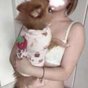 ヒメ日記 2026/01/29 00:15 投稿 ひまわり ピンクコレクション尼崎店