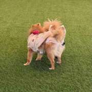 ヒメ日記 2026/01/29 21:12 投稿 ひまわり ピンクコレクション尼崎店