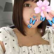 ヒメ日記 2025/06/23 16:21 投稿 ひまわり ピンクコレクション大阪