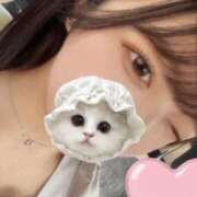 ヒメ日記 2025/07/04 15:21 投稿 ひまわり ピンクコレクション大阪