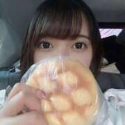 ヒメ日記 2025/08/14 17:31 投稿 ひまわり ピンクコレクション大阪