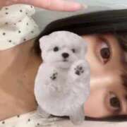 ヒメ日記 2025/08/22 23:01 投稿 ひまわり ピンクコレクション大阪