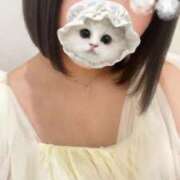 ヒメ日記 2025/08/26 17:51 投稿 ひまわり ピンクコレクション大阪