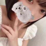 ヒメ日記 2025/08/31 20:44 投稿 ひまわり ピンクコレクション大阪