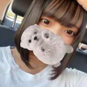 ヒメ日記 2025/09/07 12:34 投稿 ひまわり ピンクコレクション大阪