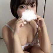 ヒメ日記 2025/10/19 12:22 投稿 ひまわり ピンクコレクション大阪