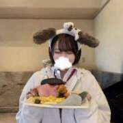 ヒメ日記 2025/10/25 20:08 投稿 ひまわり ピンクコレクション大阪