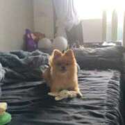 ヒメ日記 2025/11/01 22:06 投稿 ひまわり ピンクコレクション大阪