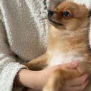 ヒメ日記 2025/11/02 21:41 投稿 ひまわり ピンクコレクション大阪