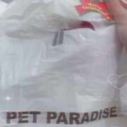 ヒメ日記 2025/11/07 22:17 投稿 ひまわり ピンクコレクション大阪