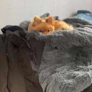 ヒメ日記 2025/11/11 14:11 投稿 ひまわり ピンクコレクション大阪