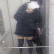 ヒメ日記 2025/11/11 18:16 投稿 ひまわり ピンクコレクション大阪