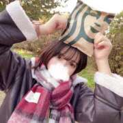 ヒメ日記 2025/11/13 15:02 投稿 ひまわり ピンクコレクション大阪