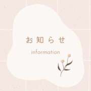 ヒメ日記 2025/11/14 01:59 投稿 ひまわり ピンクコレクション大阪