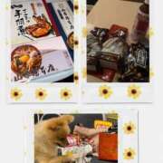 ヒメ日記 2025/11/15 23:16 投稿 ひまわり ピンクコレクション大阪