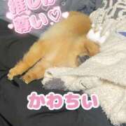 ヒメ日記 2025/11/17 13:08 投稿 ひまわり ピンクコレクション大阪