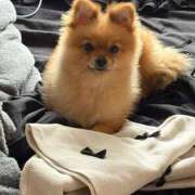 ヒメ日記 2025/11/27 13:11 投稿 ひまわり ピンクコレクション大阪