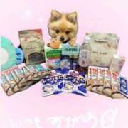 ヒメ日記 2025/11/30 11:01 投稿 ひまわり ピンクコレクション大阪