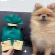 ヒメ日記 2025/12/14 10:41 投稿 ひまわり ピンクコレクション大阪