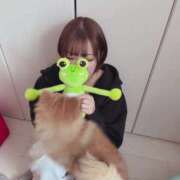 ヒメ日記 2025/12/15 13:21 投稿 ひまわり ピンクコレクション大阪