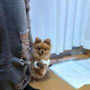 ヒメ日記 2026/01/10 23:18 投稿 ひまわり ピンクコレクション大阪