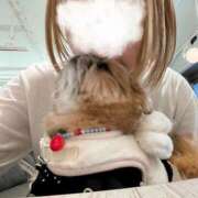 ヒメ日記 2026/01/28 18:21 投稿 ひまわり ピンクコレクション大阪