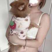 ヒメ日記 2026/01/29 00:14 投稿 ひまわり ピンクコレクション大阪