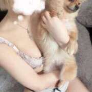 ヒメ日記 2026/02/22 13:39 投稿 ひまわり ピンクコレクション大阪