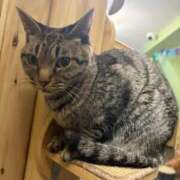 ヒメ日記 2026/03/04 23:18 投稿 ひまわり ピンクコレクション大阪