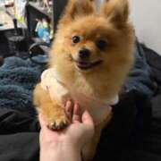 ヒメ日記 2026/03/20 12:22 投稿 ひまわり ピンクコレクション大阪