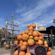 ヒメ日記 2025/10/14 13:05 投稿 みみ 東京人妻セレブリティ（ユメオト）