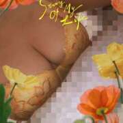 ヒメ日記 2025/05/01 10:03 投稿 みゆき クラブルージュ