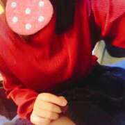 ヒメ日記 2025/09/23 14:15 投稿 すみれ マーガレット